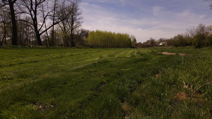 Zrekultivovaná louka na jaře 2023, před výsadbou stromů