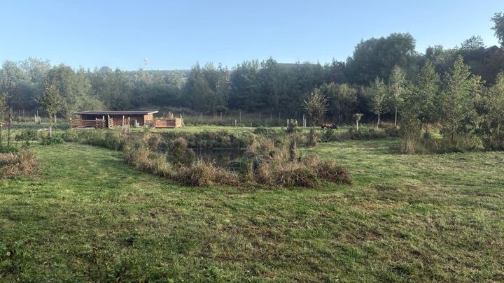 Tůně, mladé stromy a přístřešek na louce dnes